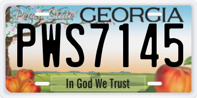 GA license plate PWS7145