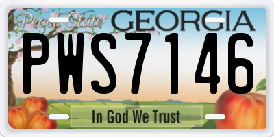 GA license plate PWS7146