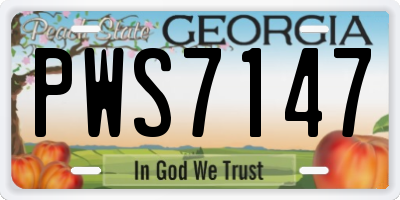GA license plate PWS7147