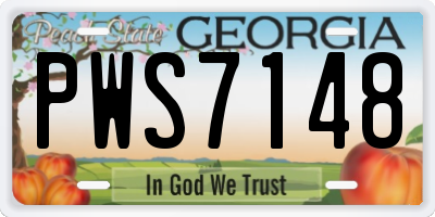 GA license plate PWS7148