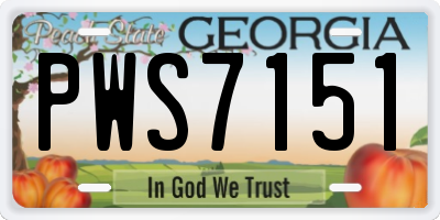 GA license plate PWS7151