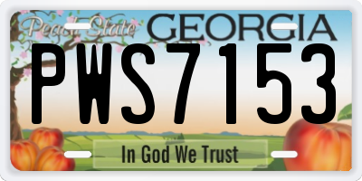GA license plate PWS7153