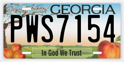 GA license plate PWS7154