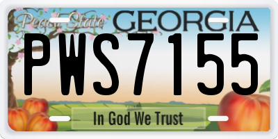 GA license plate PWS7155