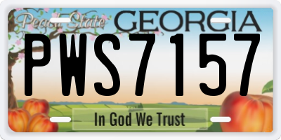 GA license plate PWS7157