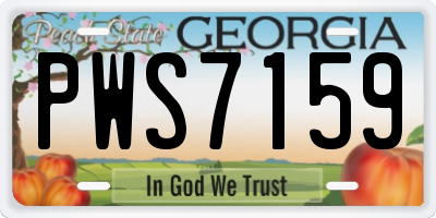 GA license plate PWS7159