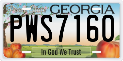 GA license plate PWS7160