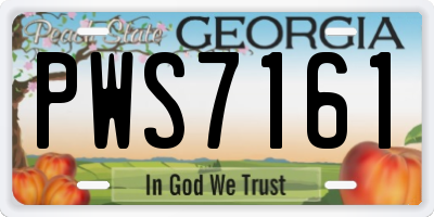 GA license plate PWS7161