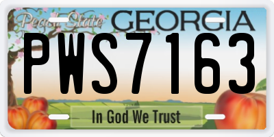GA license plate PWS7163