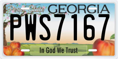 GA license plate PWS7167