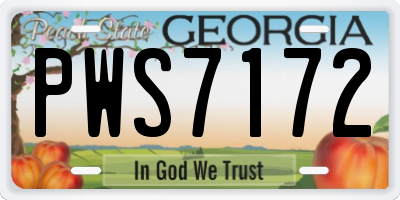 GA license plate PWS7172