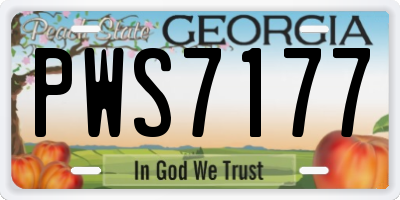 GA license plate PWS7177