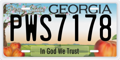 GA license plate PWS7178