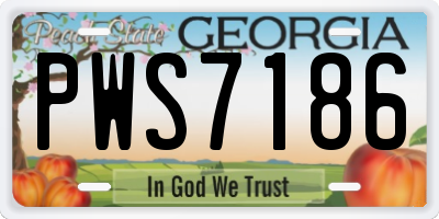 GA license plate PWS7186