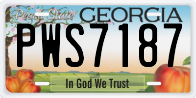 GA license plate PWS7187