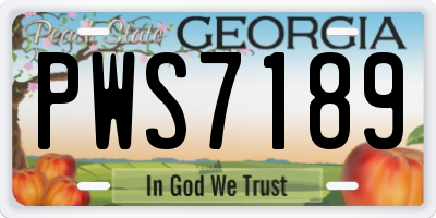 GA license plate PWS7189