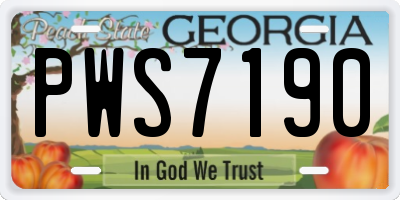GA license plate PWS7190