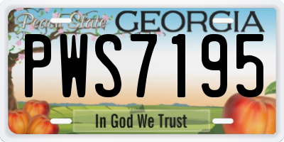 GA license plate PWS7195