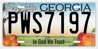 GA license plate PWS7197