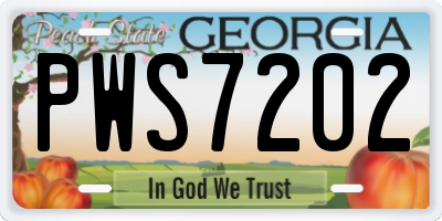 GA license plate PWS7202