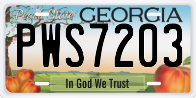 GA license plate PWS7203