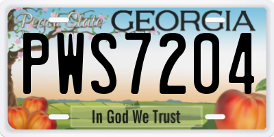 GA license plate PWS7204