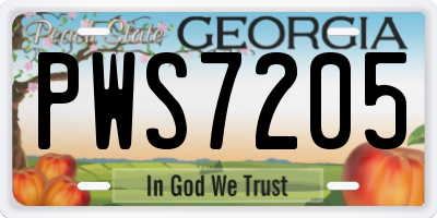 GA license plate PWS7205