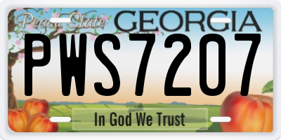 GA license plate PWS7207