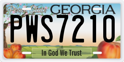 GA license plate PWS7210