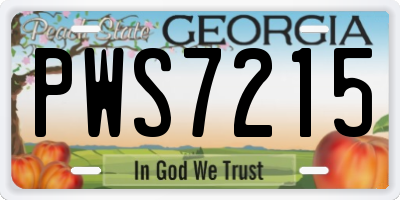 GA license plate PWS7215