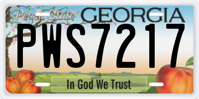 GA license plate PWS7217