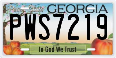 GA license plate PWS7219