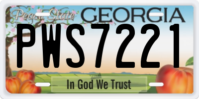 GA license plate PWS7221