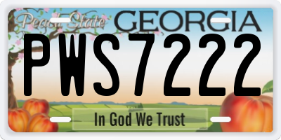 GA license plate PWS7222