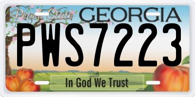 GA license plate PWS7223