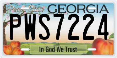 GA license plate PWS7224