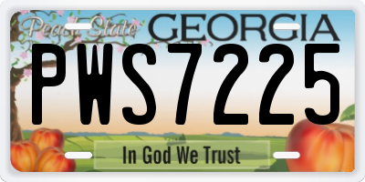 GA license plate PWS7225