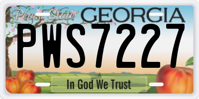 GA license plate PWS7227