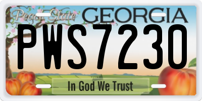 GA license plate PWS7230