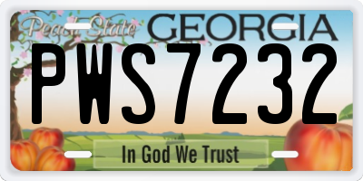GA license plate PWS7232