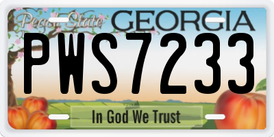 GA license plate PWS7233