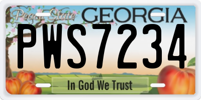 GA license plate PWS7234