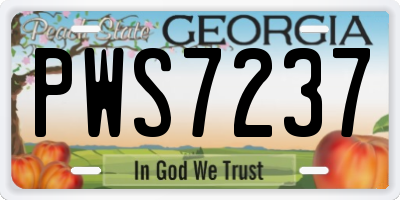 GA license plate PWS7237