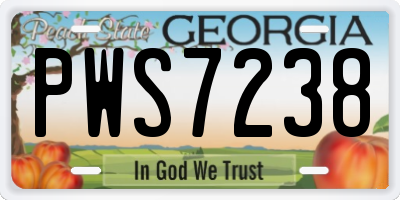 GA license plate PWS7238