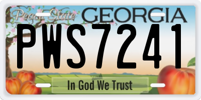 GA license plate PWS7241