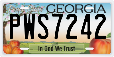 GA license plate PWS7242