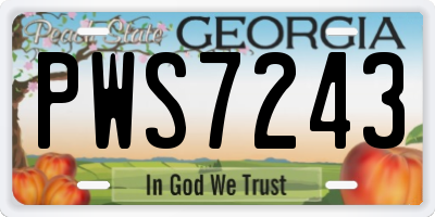 GA license plate PWS7243