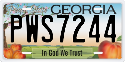 GA license plate PWS7244