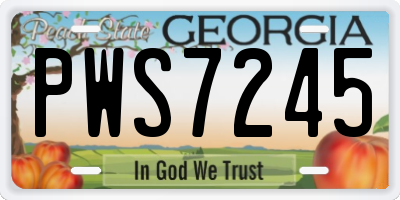 GA license plate PWS7245