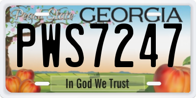 GA license plate PWS7247
